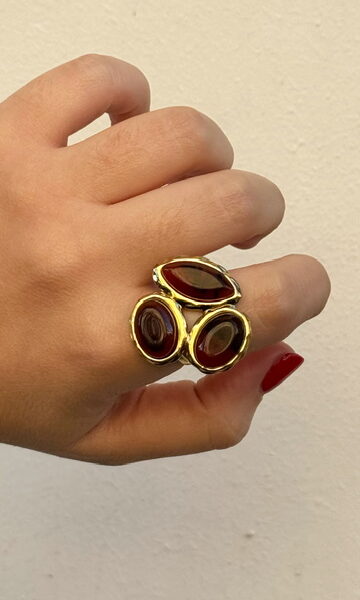 Anillo Rosalía Acero Dorado