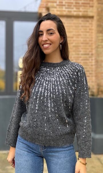Jersey Anastasia Lentejuelas Gris